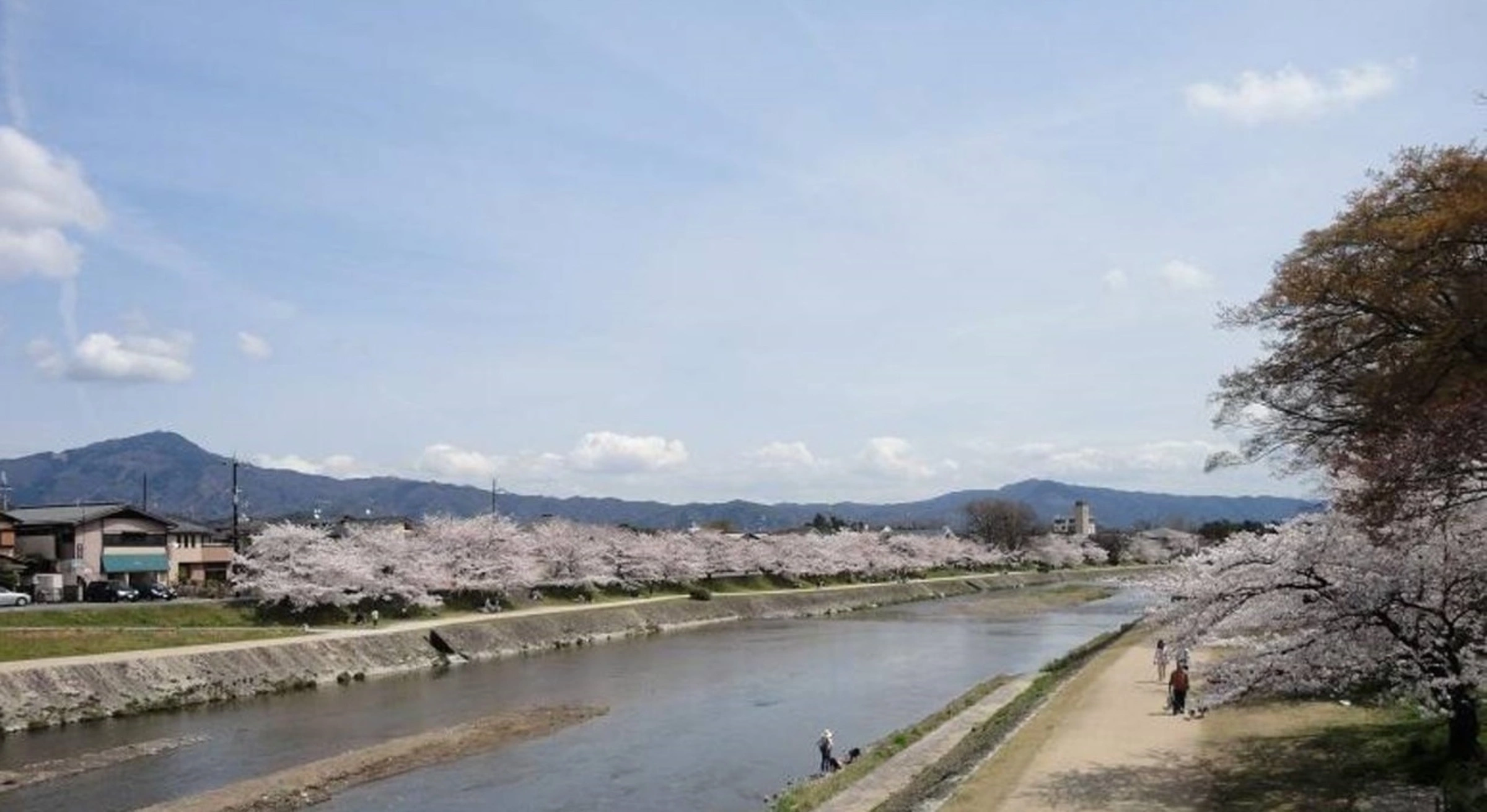 42730083 75db 45fa 9535 e3db77a960f7