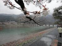 Petty Japanese style house in the residential area near Saga Arashiyama station in KYOTO-SHI UKYO-KU SAGA ORITOCHO