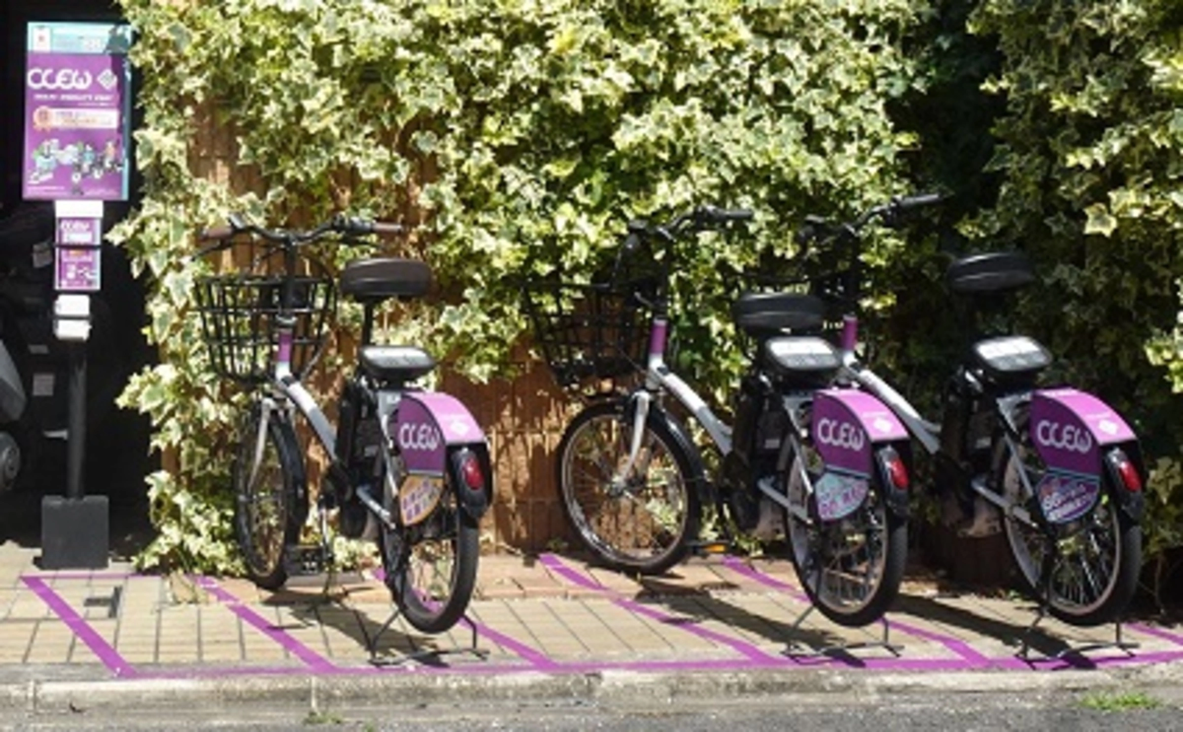 Defb8e90 e623 4c86 b5c5 a8f1f34aad27