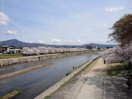 Slide show 68ba3382 6fde 4556 810c 3bf1c57fd62a