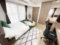 Mynavi STAY Monzennakacho #801 in Koto City
