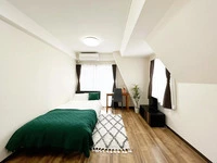 Mynavi STAY Palace Ohanajaya #501 in Katsushika City