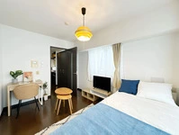 マイナビSTAYミライエ亀戸3丁目 #801 in 