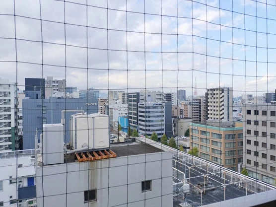 Slide show 9b4de6bb acfc 4825 b24a 41578d8b6aeb