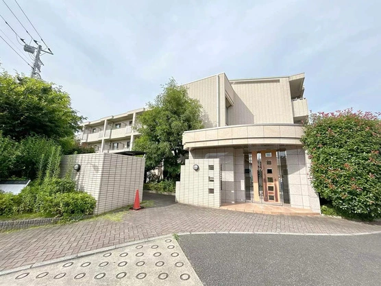 Slide show 5a222978 497b 4754 bb90 e156b324de89