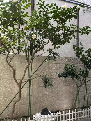 Slide show 8ad26f2e 2683 48ce 886c 1b8cdb9e2be1