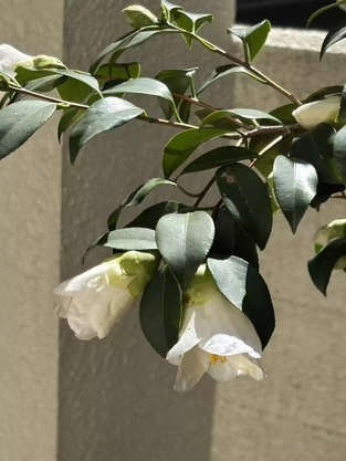 Slide show 89ee5294 c7e4 4f85 8dac e5b8cd3703f4