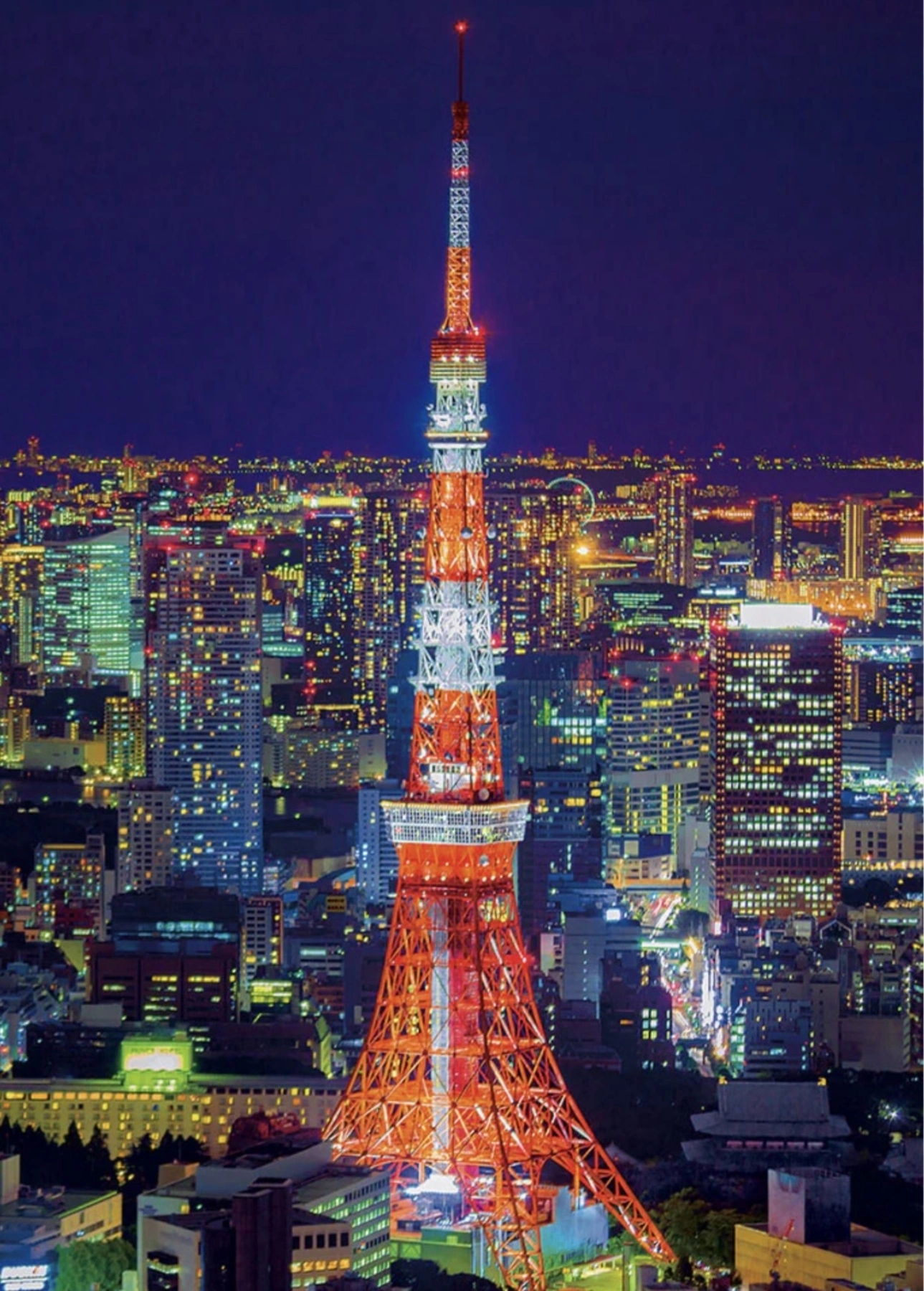 A14da7bd b0b8 4d1a 9e4f cb2e2bd2a66f